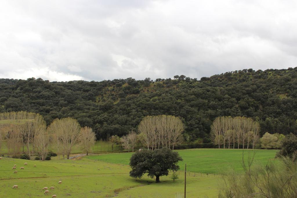 Camping La Fundicion Cazalla de la Sierra Buitenkant foto