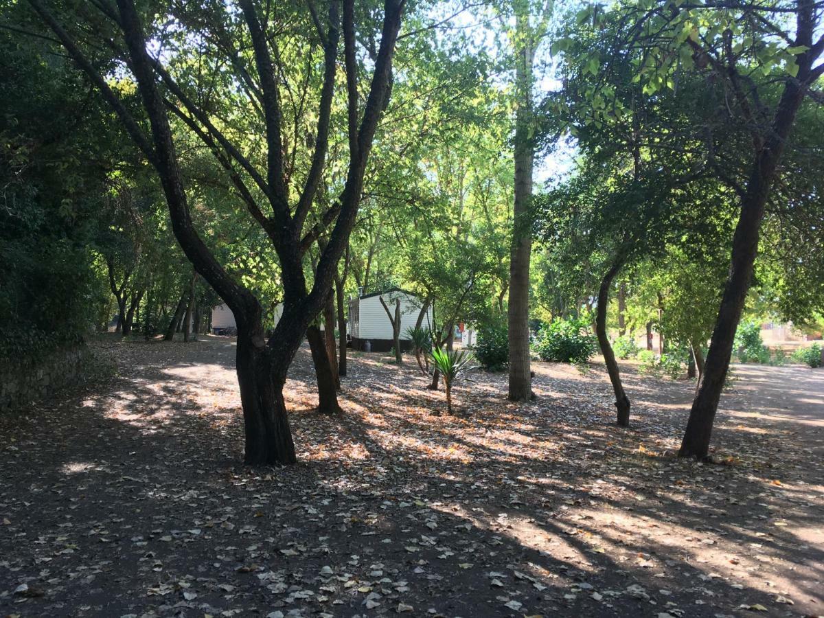 Camping La Fundicion Cazalla de la Sierra Kamer foto